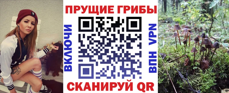 Галлюциногенные грибы мухоморы Михайлов