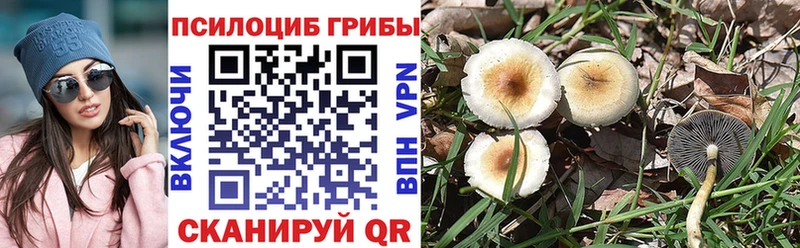 Псилоцибиновые грибы прущие грибы  Михайлов 